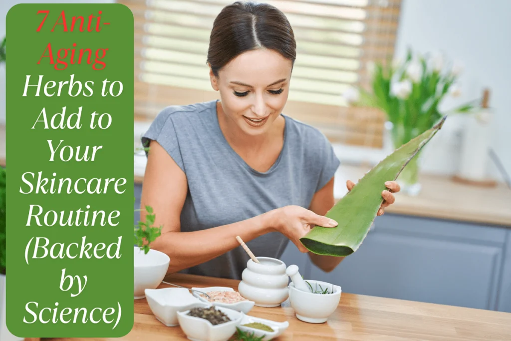 7 Anti-Aging Herbs to Add to Your Skincare Routine (Backed by Science) 7 Anti Aging Herbs To Add To Your Skincare Routine Backed By Science Min Min 1024x683