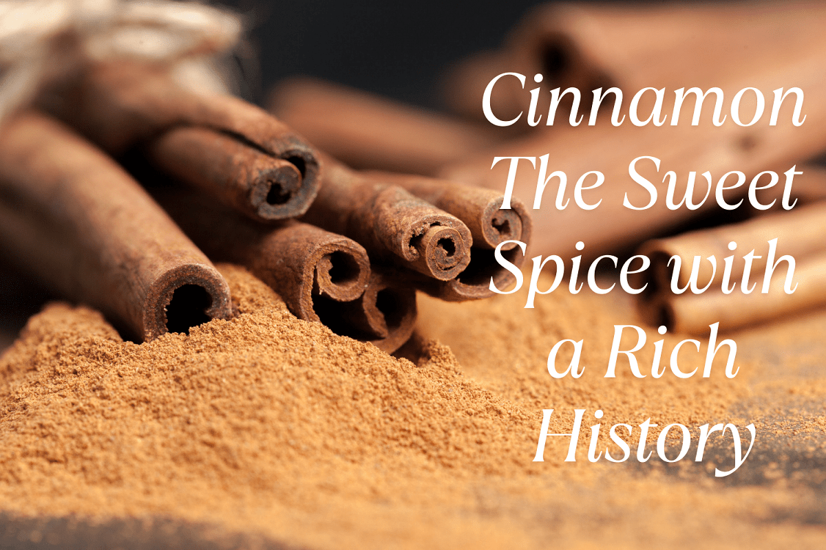 Cinnamon: The Sweet Spice with a Rich History