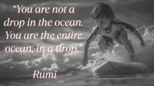 10 Rumi Quotes to Nourish the Soul and Reignite Your Inner Light | DIY Live Life You Are Not A Drop In The Ocean. You Are The Entire Ocean In A Drop. Rumi Min 300x168