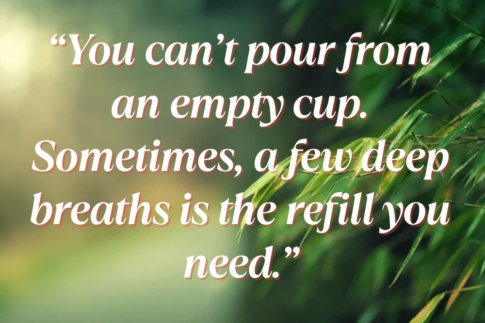 What to Do When You’re Feeling Overwhelmed (Simple Wellness Practices) a image of leaf with a affirmation quotes